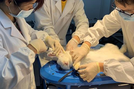上海医疗器械动物实验